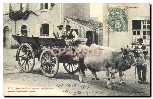 Ansichtskarte AK Folklore Attelage de boeufs pyreneens TOP