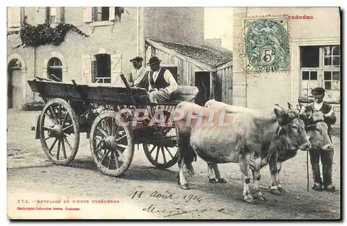 Cartes postales Folklore Attelage de boeufs pyreneens TOP