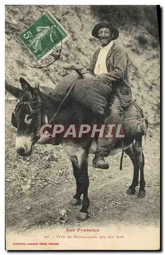 Cartes postales Folklore Pyrenees Type de montagnard sur son Ane Mule TOP