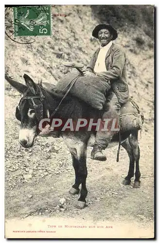 Ansichtskarte AK Folklore Pyrenees Type de montagnard sur son Ane Mule TOP