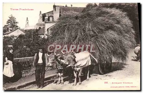 Cartes postales Folklore Attelage bearnais Boeufs TOP Pyrenees
