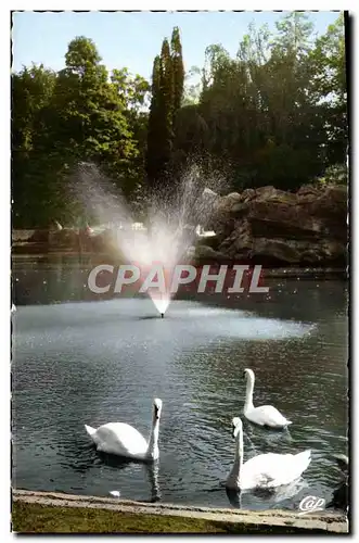 Ansichtskarte AK Valenciennes Jardin de la Rhonelle les Cygnes