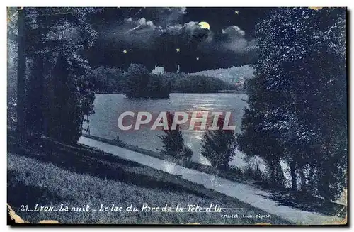 Cartes postales Lyon la nuit Le lac du Parc de la Tete d'Or