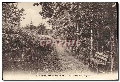 Cartes postales Sanatorium de Mardor Une allee du parc