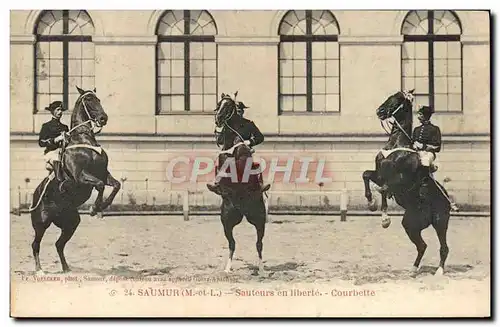 Cartes postales Cheval Equitation Hippisme Saumur sauteurs en liberte