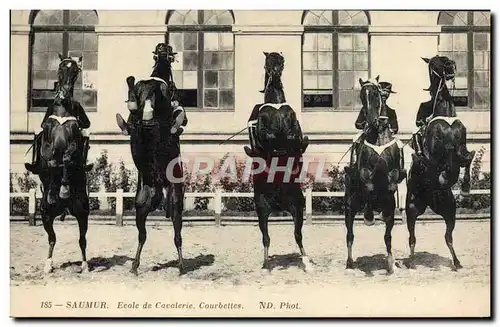 Cartes postales Cheval Equitation Hippisme Saumur Ecole de cavalerie Courbettes