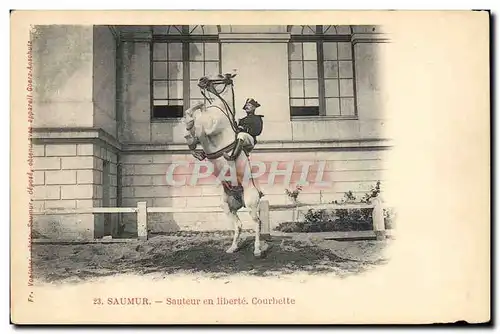 Ansichtskarte AK Cheval Equitation Hippisme Saumur Sauteur en liberte Courbette