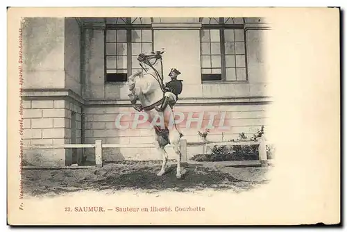 Cartes postales Cheval Equitation Hippisme Saumur Sauteur en liberte Courbette