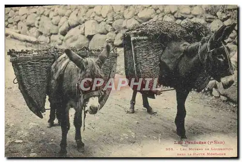 Ansichtskarte AK Folklore Pyrenees Les moyens de locomotion dans la haute montagne Ane Mule