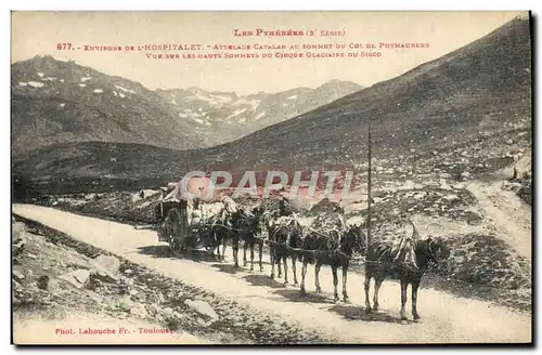 Cartes postales Pyrenees Environs de l&#39Hospitalet Attelage catalan au sommet du col de Puymaurens Vue sur les