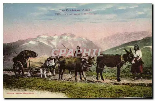 Cartes postales Folklore Pyrenees Un attelage montagnard Beouf Ane Mule