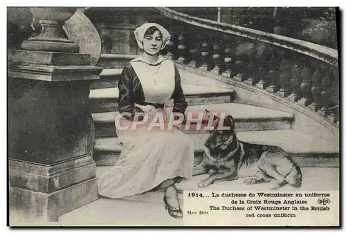 Ansichtskarte AK La duchesse de Westminster en uniforme de la Croix Rouge anglaise Chien