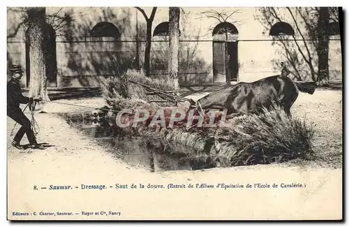 Cartes postales Cheval Hippisme Saumur Dressage Saut de la Douve