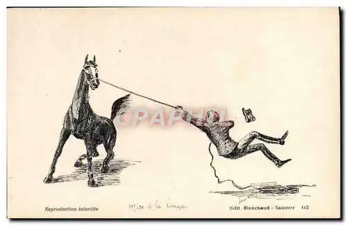 Cartes postales Cheval Hippisme Mise a la longe