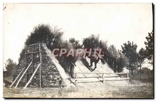 CARTE PHOTO Cheval Hippisme