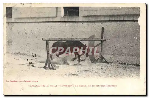 Cartes postales Cheval Hippisme Saumur Dressage d&#39un cheval en liberte (un farceur)