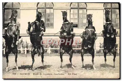 Ansichtskarte AK Cheval Hippisme Saumur Ecole de cavalerie Courbettes