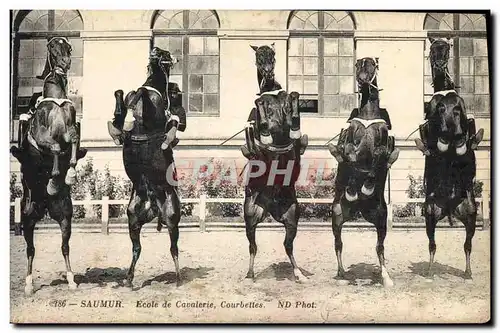 Cartes postales Cheval Hippisme Saumur Ecole de cavalerie Courbettes
