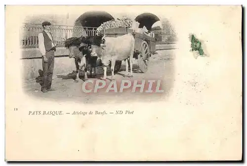 Ansichtskarte AK Folklore Pays basque Attelage de boeufs