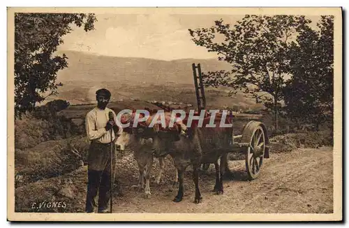 Cartes postales Folklore Attelage basque