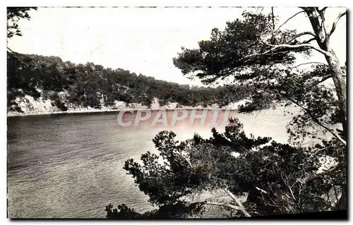 Cartes postales moderne Toulon Anse De Mejean