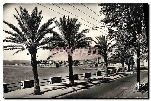 Cartes postales moderne Cote D'Azur Toulon Le Mourillon