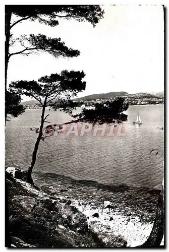 Cartes postales moderne Bandol Panorama