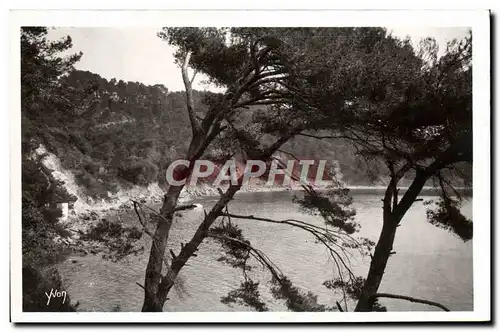 Cartes postales moderne La Douce France Cote D'Azur Toulon Anse du Magaud