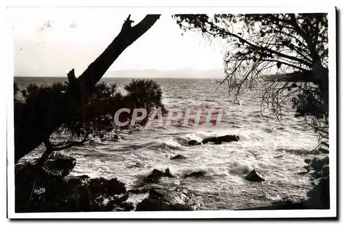 Cartes postales Bord De Mer Entre Saint Raphael Et Agay