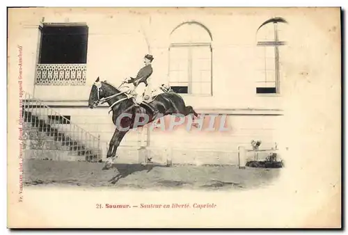 Cartes postales Cheval Hippisme Saumur Sauteur en liberte Capriole