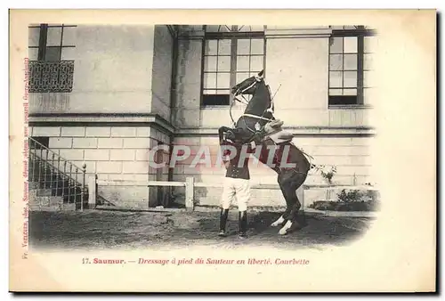 Cartes postales Cheval Hippisme Saumur Dressage a pied du sauteur en liberte Courbette