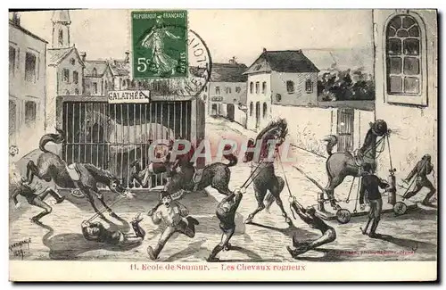 Cartes postales Cheval Hippisme Saumur Ecole Les chevaux rogneux