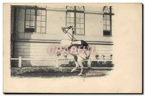Cartes postales Cheval Hippisme Saumur Sauteur en liberte Courbette fantaisiste