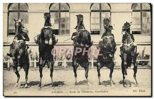 Cartes postales Cheval Hippisme Saumur Ecole de cavalerie Courbettes
