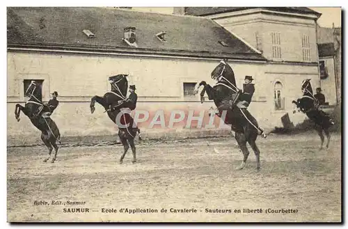Cartes postales Cheval Hippisme Saumur Ecole d&#39application de cavalerie Sauteurs en liberte (courbette)