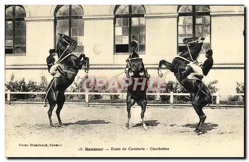 Cartes postales Cheval Hippisme Saumur Ecole de cavalerie Courbettes