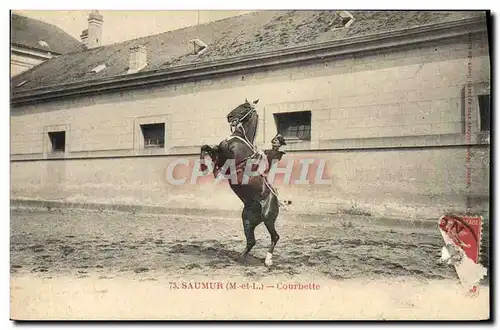 Ansichtskarte AK Cheval Hippisme Saumur Courbette