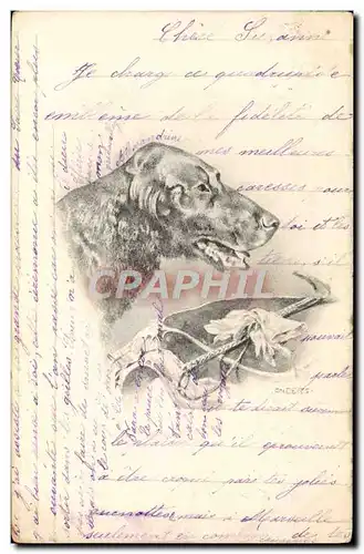 Cartes postales Fantaisie Illustrateur Chien