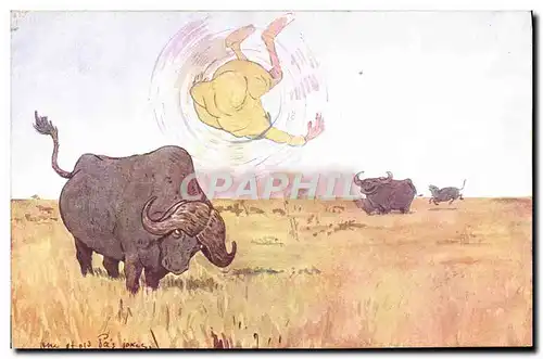 Cartes postales Fantaisie Illustrateur Afrique Boeufs