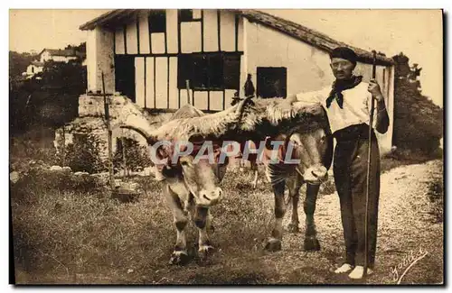 Cartes postales Folklore Guethary Pays basque Les boeufs coiffes