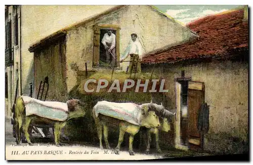 Cartes postales Folklore Au pasy basque Rentree du foin Boeufs