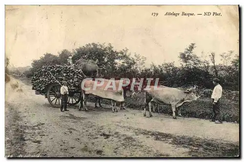 Ansichtskarte AK Folklore Attelage basque Boeufs