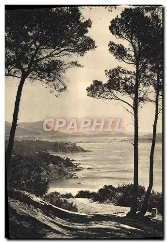 Cartes postales Fabregas Le sentier de douane