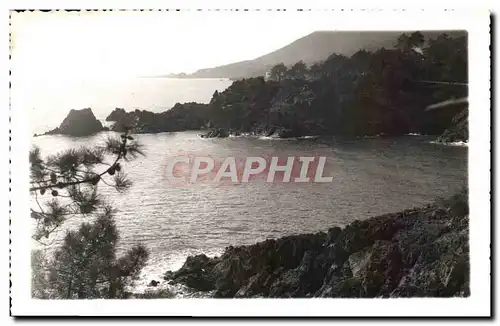 Cartes postales moderne Les Calanques De I&#39Esterel