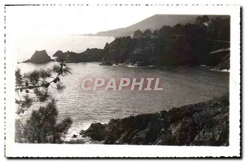 Cartes postales moderne Les Calanques De I'Esterel