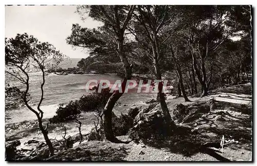 Cartes postales moderne Cote D&#39Azur Chemin Du Bord De Mer