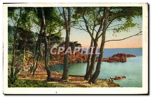 Cartes postales La Cote D&#39Azur La Corniche D&#39Or Les rochers rouges et les pins maritimes a Boulouris sur m