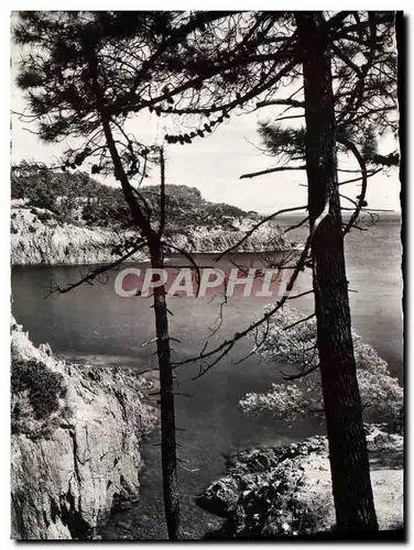 Cartes postales La Corniche D&#39Or Bord De Mer Dans Le Trayas