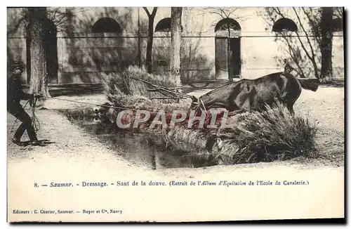 Cartes postales Cheval Hippisme Saumur Dressage Saut de la douve