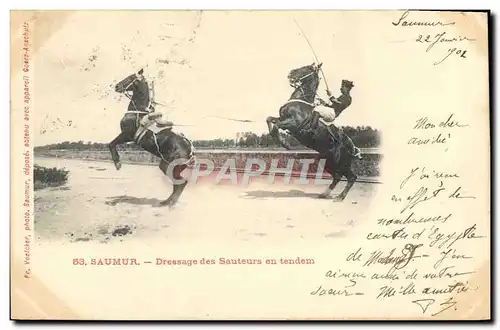 Cartes postales Cheval Hippisme Saumur Dressage des sauteurs en tendem
